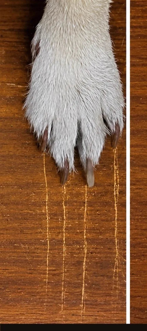 Pet claw marks on wood before ScratchZero repair